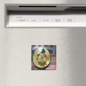 BONNET MAGNEET (Insitu (Vaatwasser))