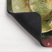 BONNET MUISMAT (Hoek)