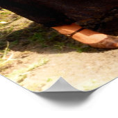 Bonnie and Clyde Fooling Around 1934 Color Redux Poster (Hoek)