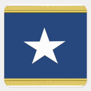 Bonnie Blue Flag First Texas Cofederate Volunteers Vierkante Sticker
