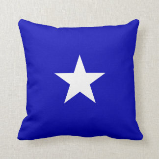Bonnie Blue Flag Kussen