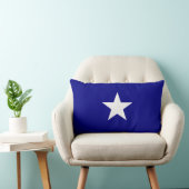 Bonnie Blue Flag Kussen (Stoel)