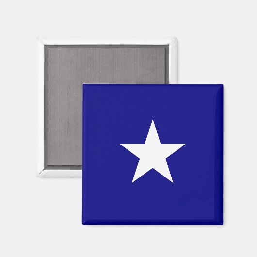 Bonnie Blue Flag Magneet (Voorkant / Achterkant)
