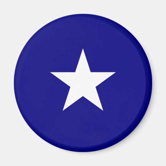 Bonnie Blue Flag Magneet (Voorkant)