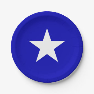 Bonnie Blue Flag Papieren Bordje