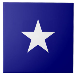 Bonnie Blue Flag Tegeltje