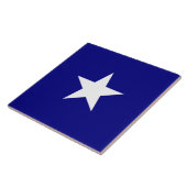 Bonnie Blue Flag Tegeltje (Zijkant)