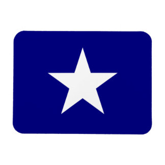 Bonnie Blue Flag White Star Magneet