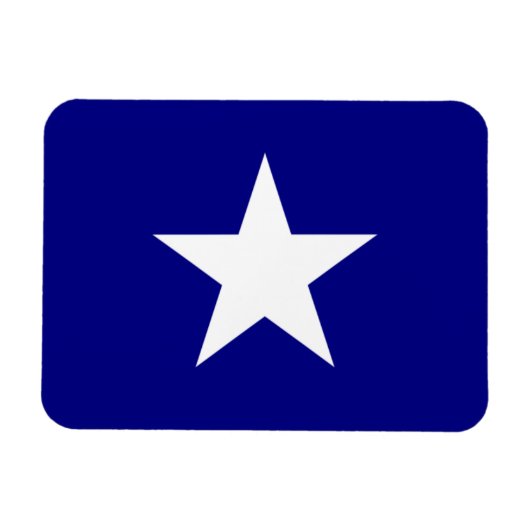 Bonnie Blue Flag White Star Magneet (Horizontaal)