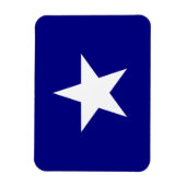 Bonnie Blue Flag White Star Magneet (Verticaal)