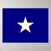 Bonnie Blue Flag White Star Poster (Voorkant)