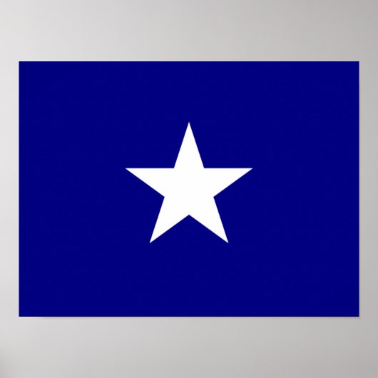 Bonnie Blue Flag White Star Poster (Voorkant)
