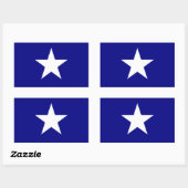 Bonnie Blue Flag White Star Rechthoekige Sticker (Vel)