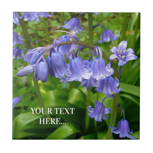 Bonnie Bluebell Tegeltje (Voorkant)