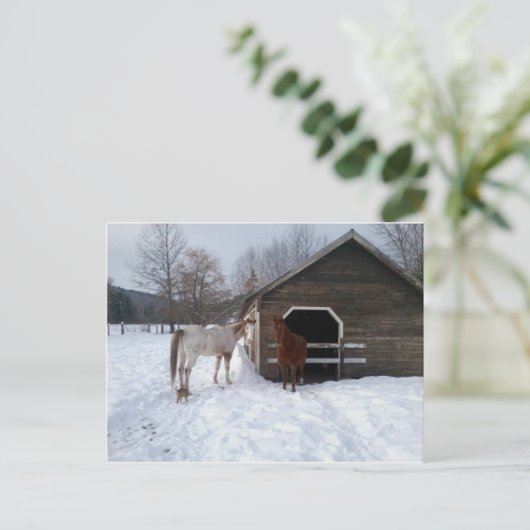 Bonnie & Clyde Briefkaart (Staand voorkant)