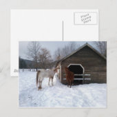 Bonnie & Clyde Briefkaart (Voorkant / Achterkant)