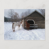 Bonnie & Clyde Briefkaart (Voorkant)