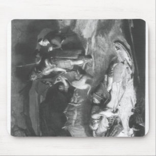 Bonnie Prince Charlie in Hiding Muismat