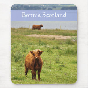 'Bonnie Scotland' met Young Highland Koe Foto Muismat