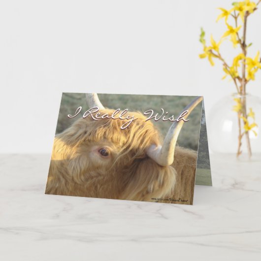 BonnieG-Get Well-customize Kaart (Gele Bloem)