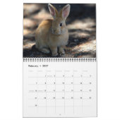 Bonny Bunnies 12-maandelijkse kalender 2016 (Feb 2027)
