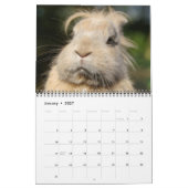 Bonny Bunnies 12-maandelijkse kalender 2016 (Jan 2027)