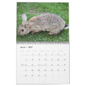 Bonny Bunnies 12-maandelijkse kalender 2016 (Mar 2027)