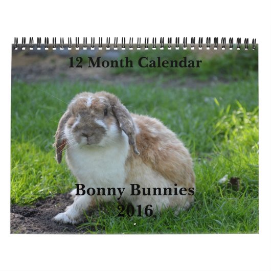 Bonny Bunnies 12-maandelijkse kalender 2016 (Hoes)