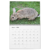 Bonny Bunnies 12-maandelijkse kalender 2016 (Mar 2026)