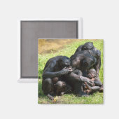 Bonobo Apes Magneet (Voorkant / Achterkant)