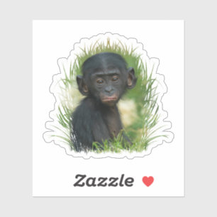 Bonobo Baby In het gras Sticker