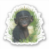 Bonobo Baby In het gras Sticker (Voorkant)
