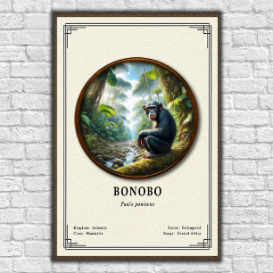 Bonobo Zoölogie Serie Poster
