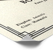 Bonobo Zoology Series Poster (Hoek)