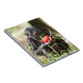 Bonobo's picknick notitieboek (Rechterzijde)