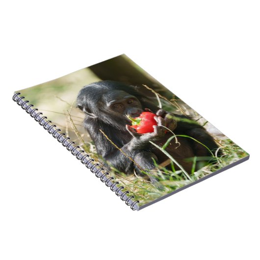 Bonobo's picknick notitieboek (Rechterzijde)