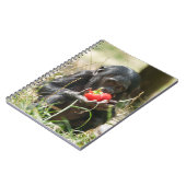 Bonobo's picknick notitieboek (Linkerzijde)