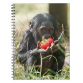 Bonobo's picknick notitieboek (Voorkant)