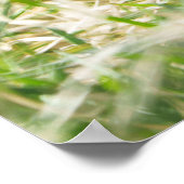 Bonobo's picknick poster (Hoek)