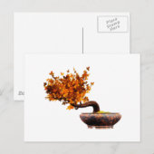 Bonsai 2 briefkaart (Voorkant / Achterkant)