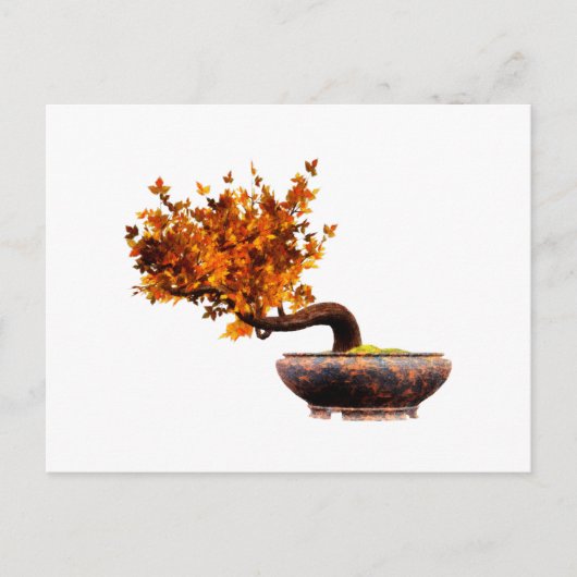 Bonsai 2 briefkaart (Voorkant)