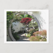Bonsai Arch - National Arboretum, Washington D.C. Briefkaart (Voorkant)