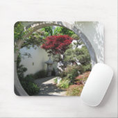 Bonsai Arch - National Arboretum, Washington D.C. Muismat (Met muis)