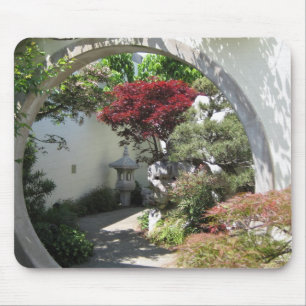 Bonsai Arch - National Arboretum, Washington D.C. Muismat