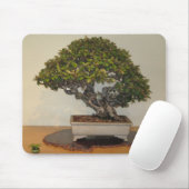 Bonsai bij National Arboretum, Washington D.C. Muismat (Met muis)