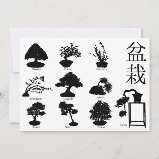 Bonsai Boom Basisstijlen 10 Kaart (Voorkant)