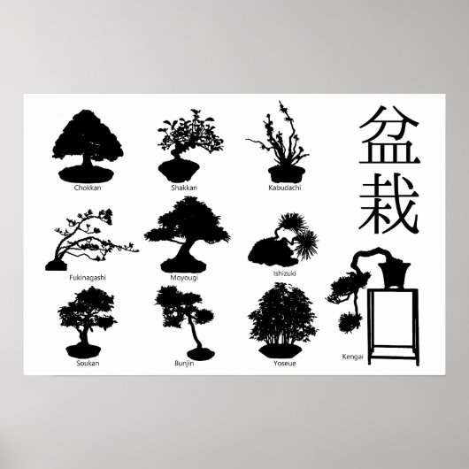 Bonsai Boom Basisstijlen 10 Poster (Voorkant)
