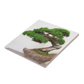 Bonsai-boom- natuurlijk tegeltje (Zijkant)