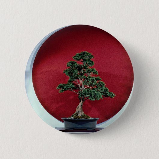Bonsai-boom Ronde Button 5,7 Cm (Voorkant)