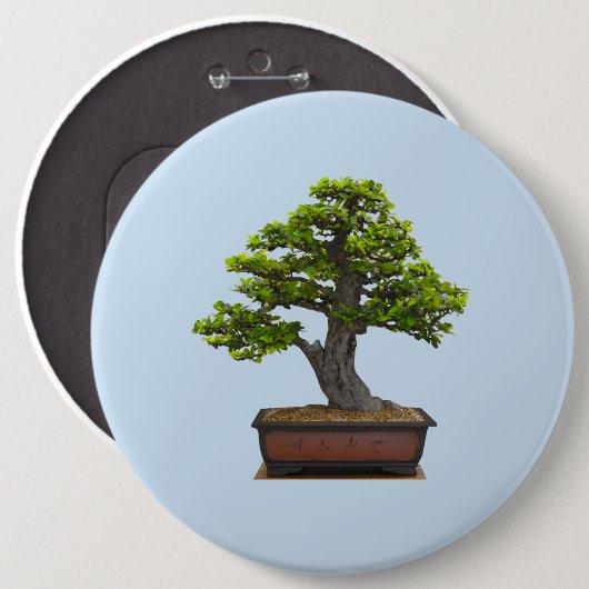 bonsai boom ronde button 6,0 cm (Voorkant /achterkant)